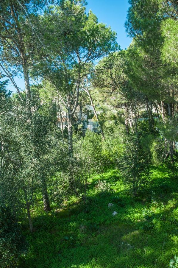סנטה קתרינה Caper Villa מראה חיצוני תמונה